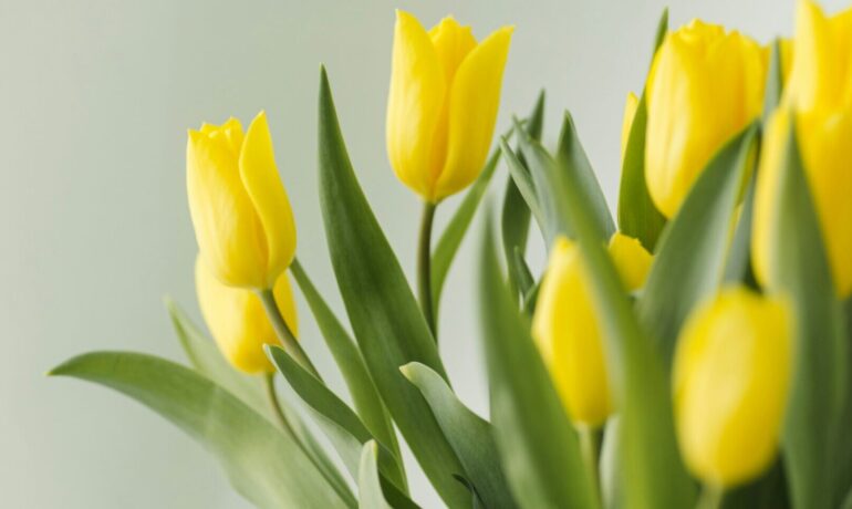 ARTS & CRAFTS | Seasonal Floral Workshop : Spring Blooms