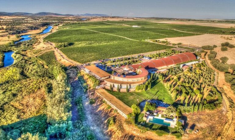 FOOD & DRINK | June Wine Tasting