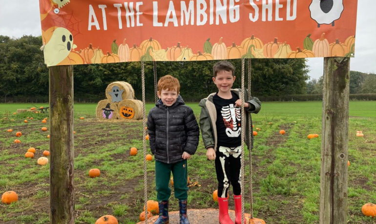 FAMILY | Pumpkin Picking @ The Lambing Shed
